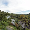 DSC07142